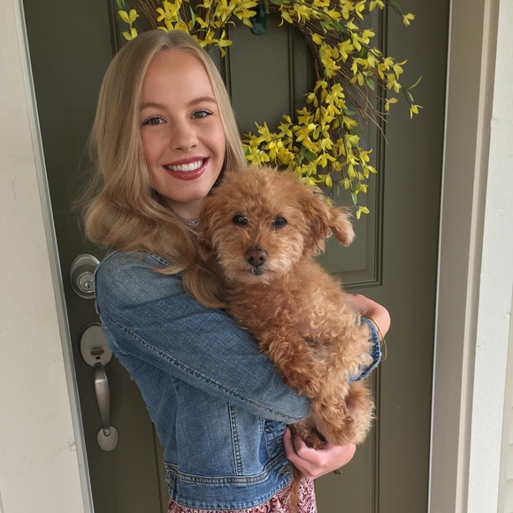 Meet your Posher, Logan - Picture 1 of 1